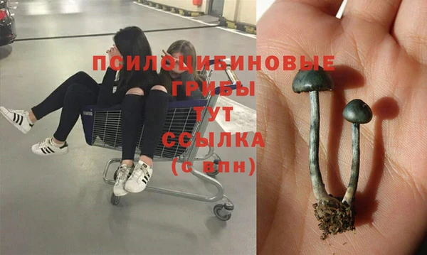 метадон Володарск