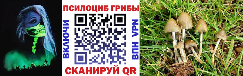 наркота  Каспийск  Псилоцибиновые грибы мицелий 